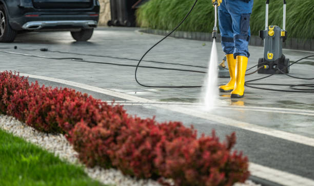 Best Roof Washing  in Balch Springs, TX